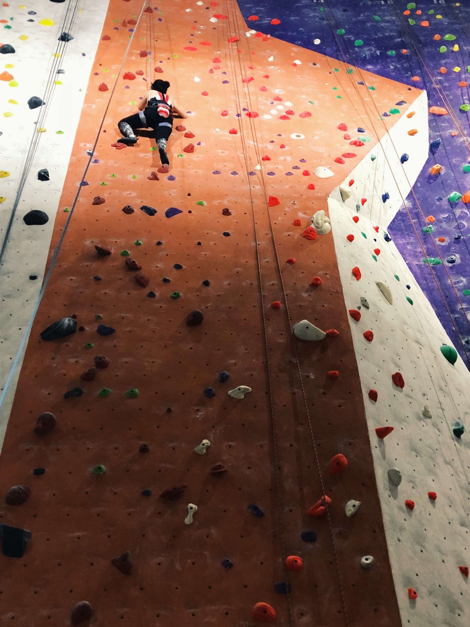 best climbing wall manufacturers in india