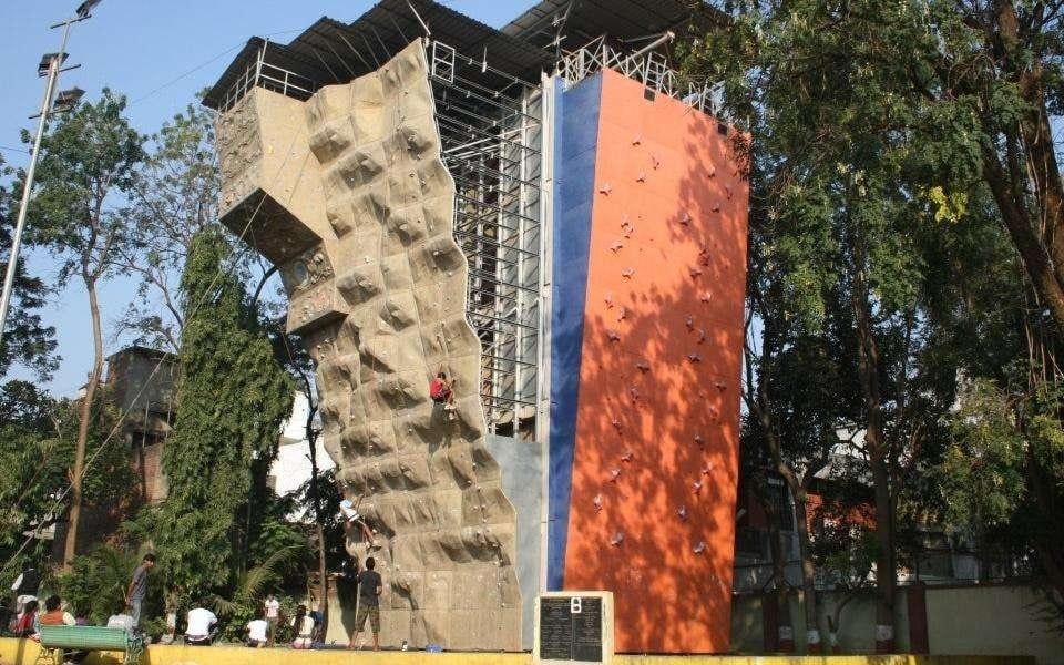 adventure plant wall climbing