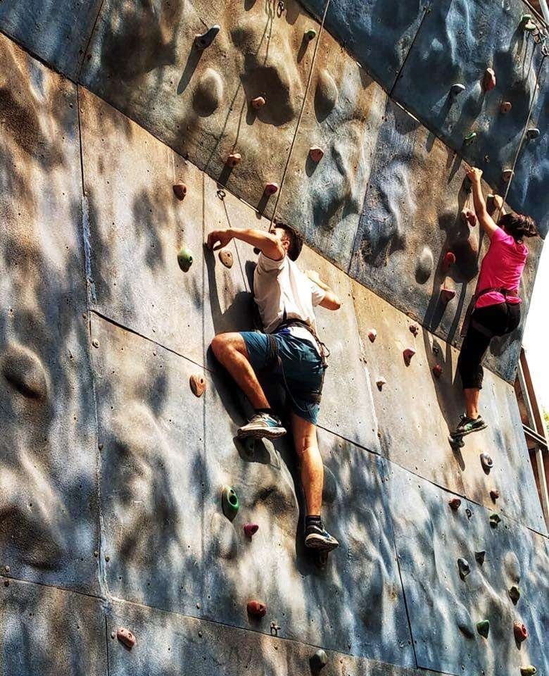 adventure plant wall climbing