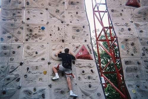 adventure plant wall climbing