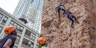 adventure plant wall climbing