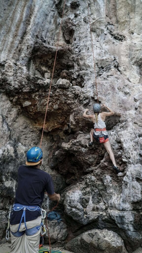 adventure plant wall climbing