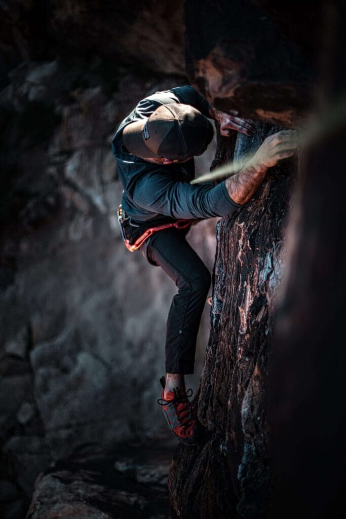 adventure plant wall climbing